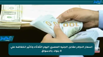 أسعار الدولار مقابل الجنيه المصري اليوم الثلاثاء وتأثير انخفاضه على 8 بنوك بالأسواق